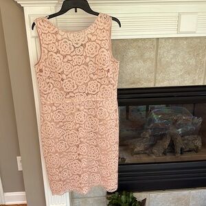 Ellen Tracy Ladies Fitted Lace Party Dress with Under Layer Size 14